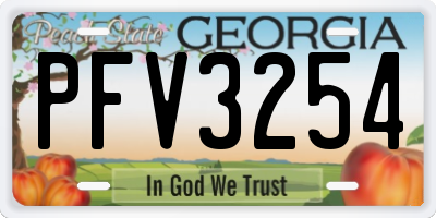 GA license plate PFV3254