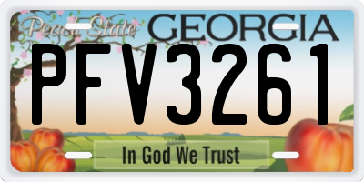 GA license plate PFV3261