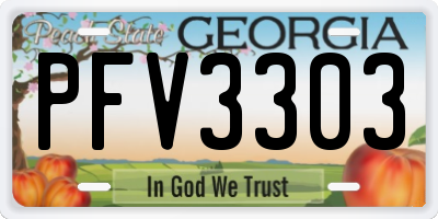 GA license plate PFV3303