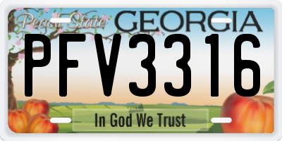 GA license plate PFV3316