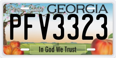GA license plate PFV3323