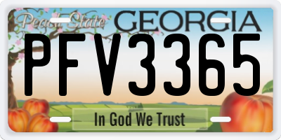 GA license plate PFV3365