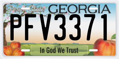 GA license plate PFV3371