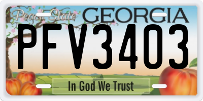 GA license plate PFV3403