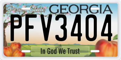 GA license plate PFV3404