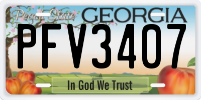 GA license plate PFV3407