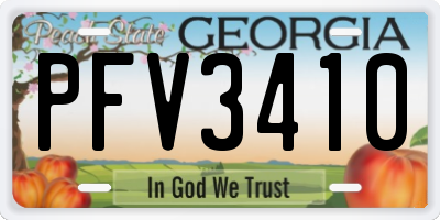 GA license plate PFV3410