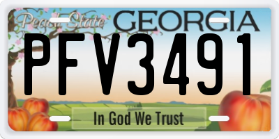 GA license plate PFV3491