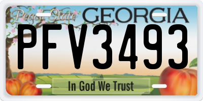 GA license plate PFV3493