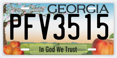 GA license plate PFV3515
