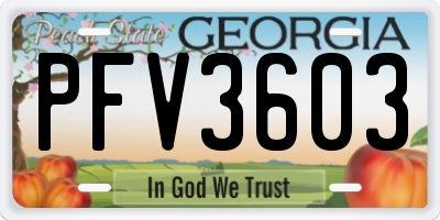 GA license plate PFV3603