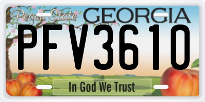GA license plate PFV3610