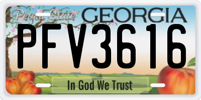 GA license plate PFV3616