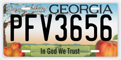 GA license plate PFV3656