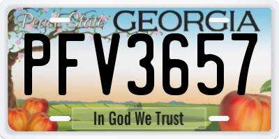 GA license plate PFV3657
