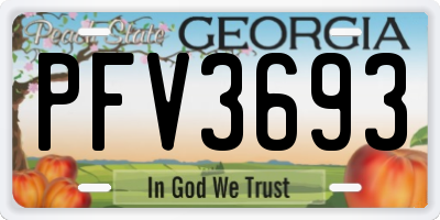 GA license plate PFV3693