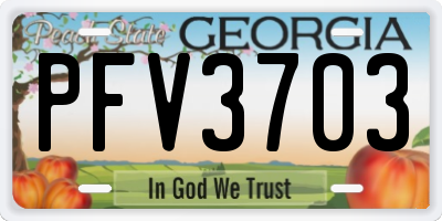 GA license plate PFV3703