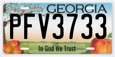 GA license plate PFV3733