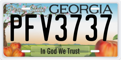 GA license plate PFV3737