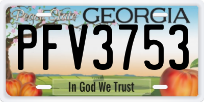 GA license plate PFV3753