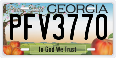 GA license plate PFV3770