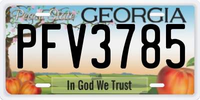 GA license plate PFV3785