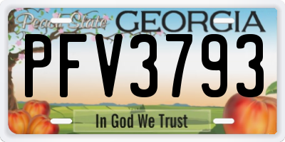 GA license plate PFV3793