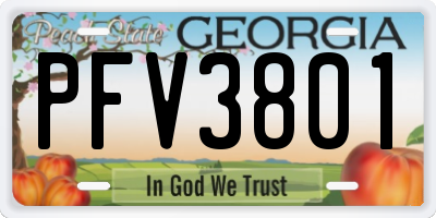 GA license plate PFV3801