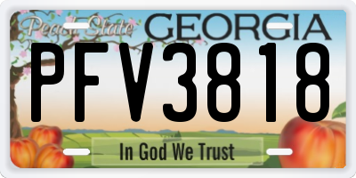 GA license plate PFV3818