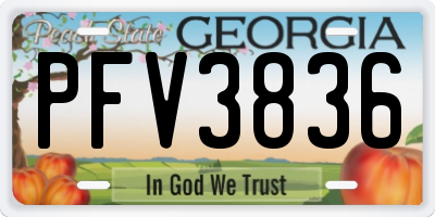 GA license plate PFV3836
