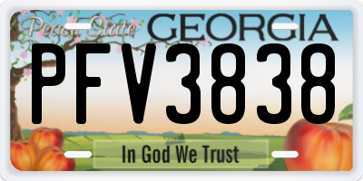 GA license plate PFV3838