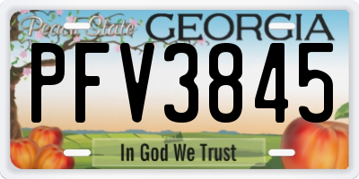 GA license plate PFV3845