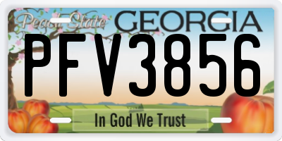 GA license plate PFV3856