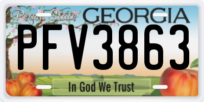 GA license plate PFV3863