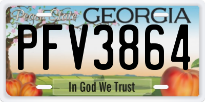 GA license plate PFV3864