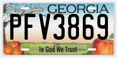 GA license plate PFV3869
