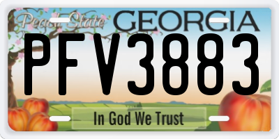 GA license plate PFV3883