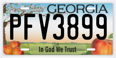 GA license plate PFV3899