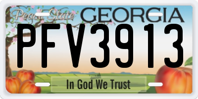 GA license plate PFV3913