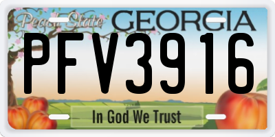 GA license plate PFV3916