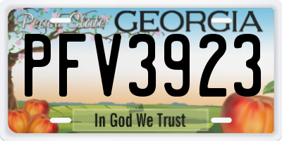 GA license plate PFV3923