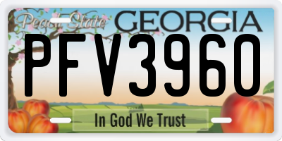 GA license plate PFV3960