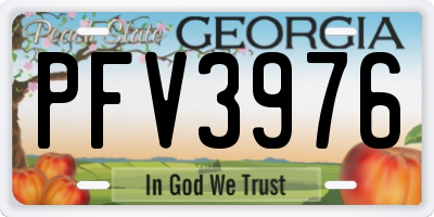 GA license plate PFV3976