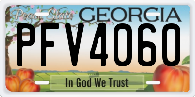 GA license plate PFV4060