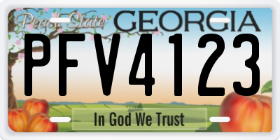 GA license plate PFV4123