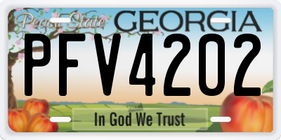 GA license plate PFV4202
