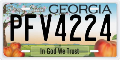 GA license plate PFV4224