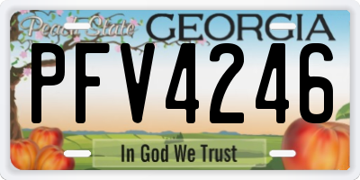 GA license plate PFV4246