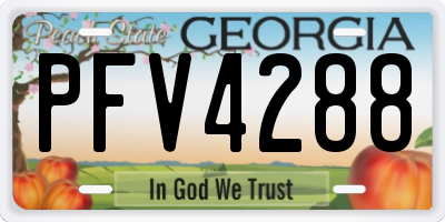 GA license plate PFV4288