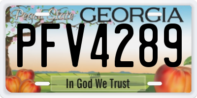 GA license plate PFV4289